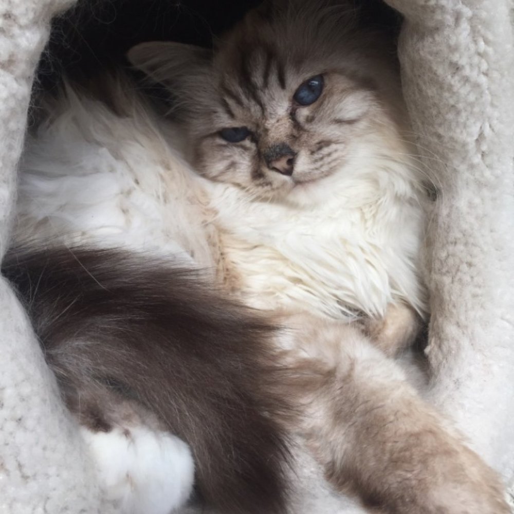 Meet your Posher, Mariel